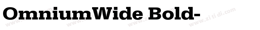 OmniumWide Bold字体转换 OmniumWide Bold字体转换